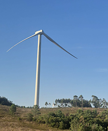 Windkraftwerke Ja oder Nein