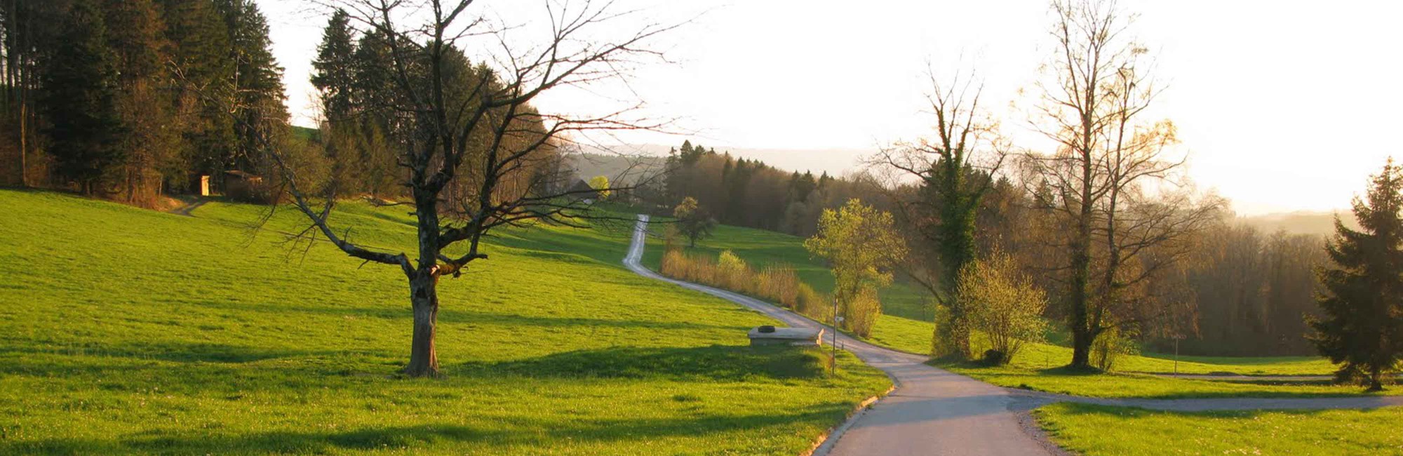landschaft-2000x650.jpg